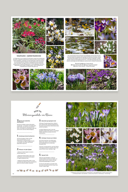 Happy Buddeln – Alles über Blumenzwiebeln (E-Magazin) + Gutschein!