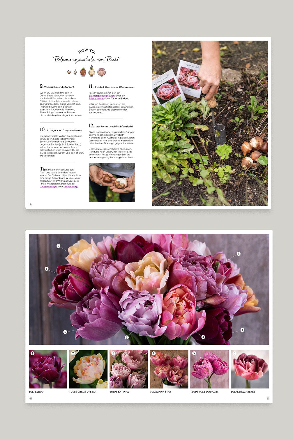 Happy Buddeln – Alles über Blumenzwiebeln (E-Magazin) + Gutschein!
