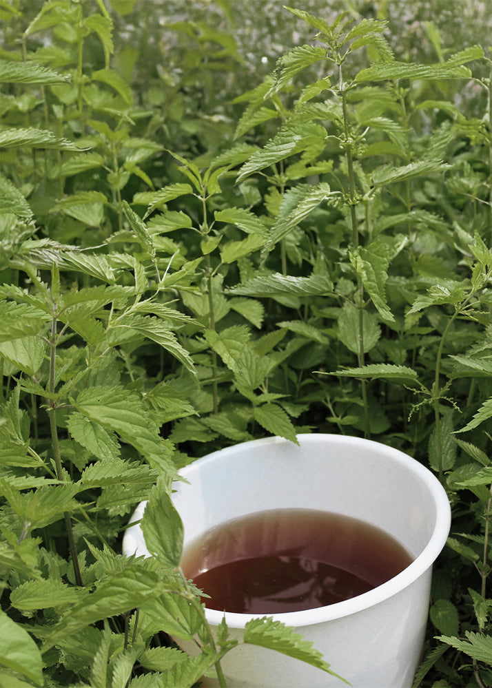 Bio Brennnessel-Pellets