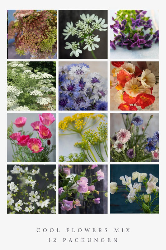 Cool Flowers Mix - 12 Packungen