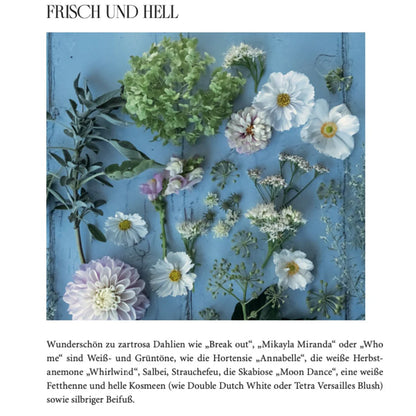 Ebook DAHLIENZAUBER
