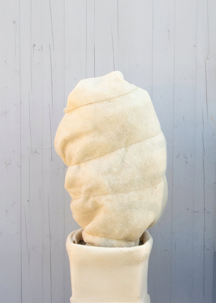 Frostschutz-Vlies 100% Schafwolle