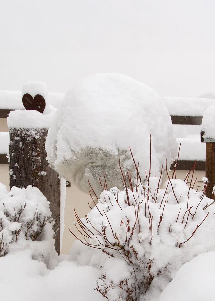 Frostschutz-Vlies 100% Schafwolle