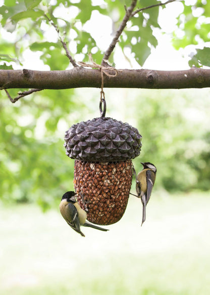 Futterstelle in der Eichel