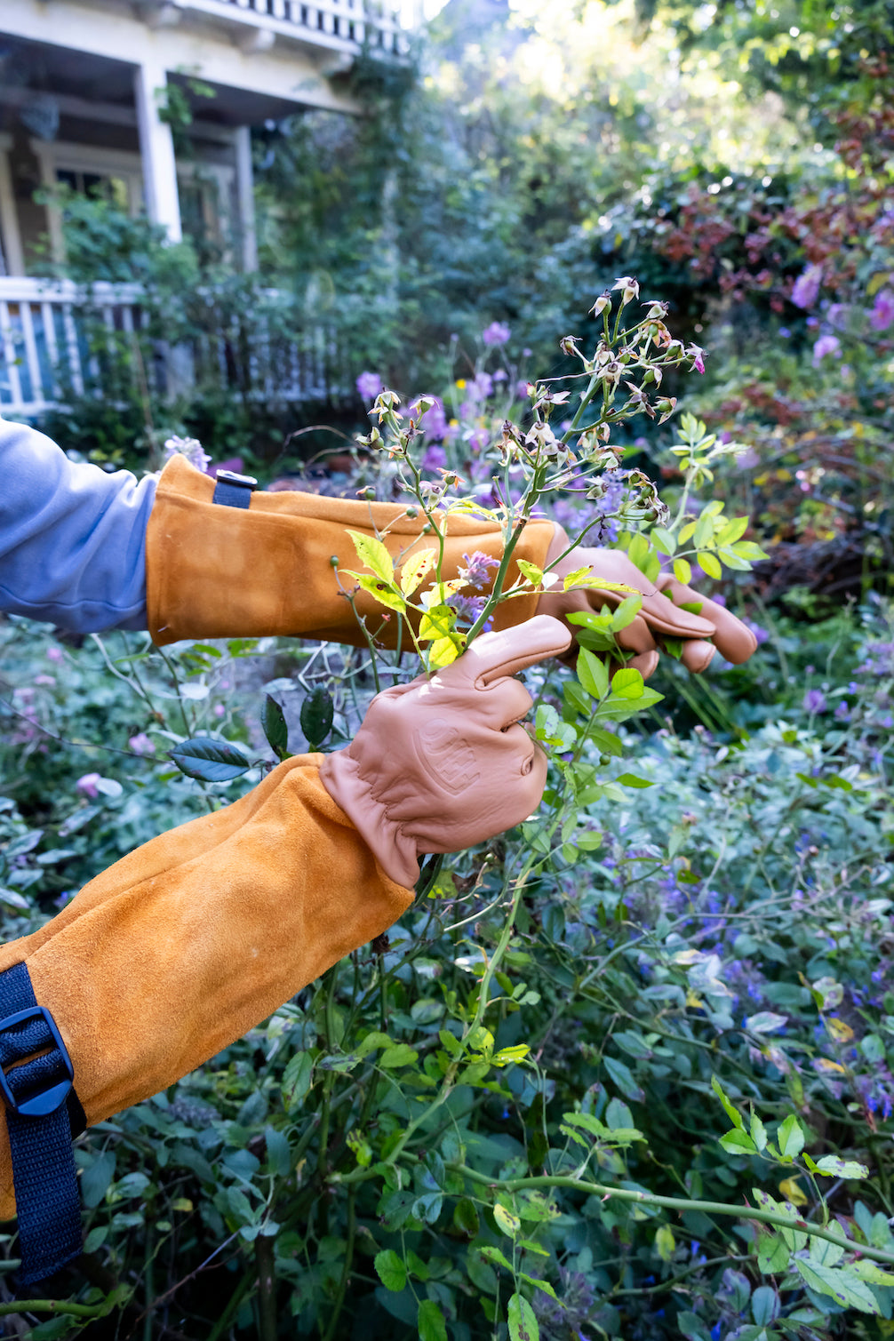 handschuhe zum rosenschneiden Premium Rosenhandschuhe – My Cottage Garden