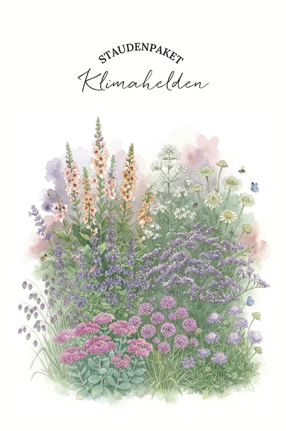 Bio-Staudenpaket "Klimahelden" – 16 Pflanzen