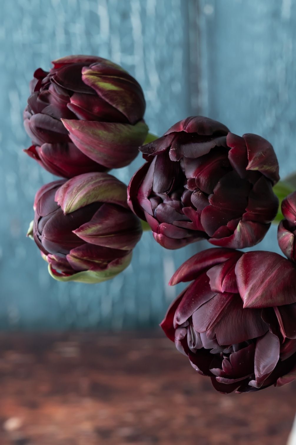 Pflückglück "Crème de Cassis" – 30 Zwiebeln