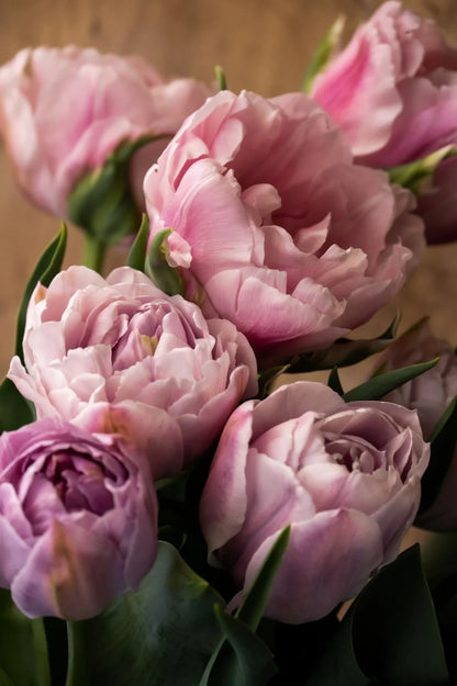 Pflückglück "Vintage Rose" – 40 Zwiebeln – SB