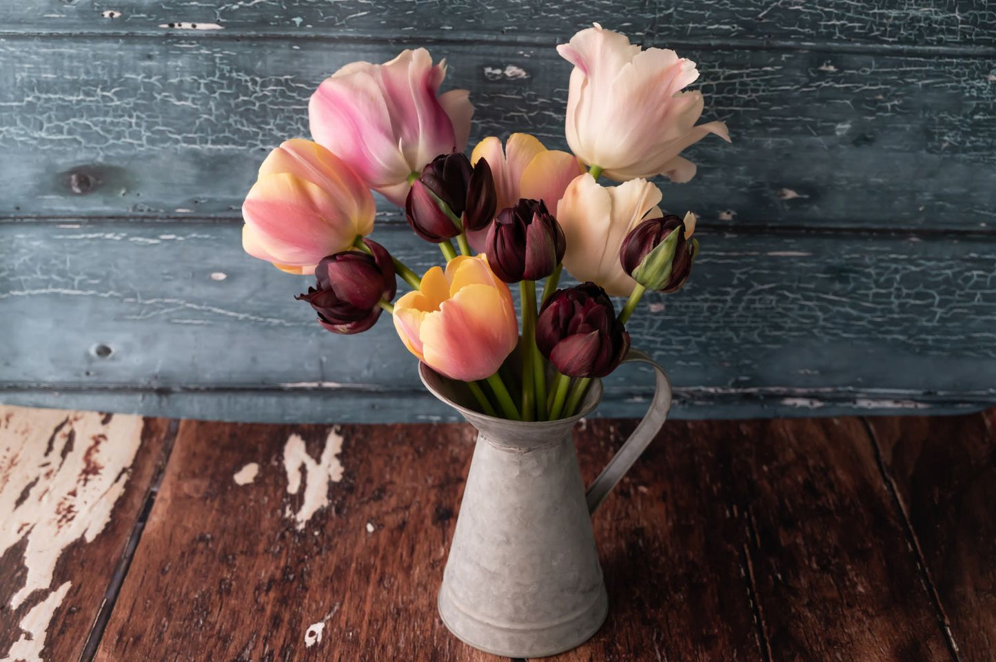 Mehrjährige Tulpenmischung "Art Deco" – 50 Zwiebeln