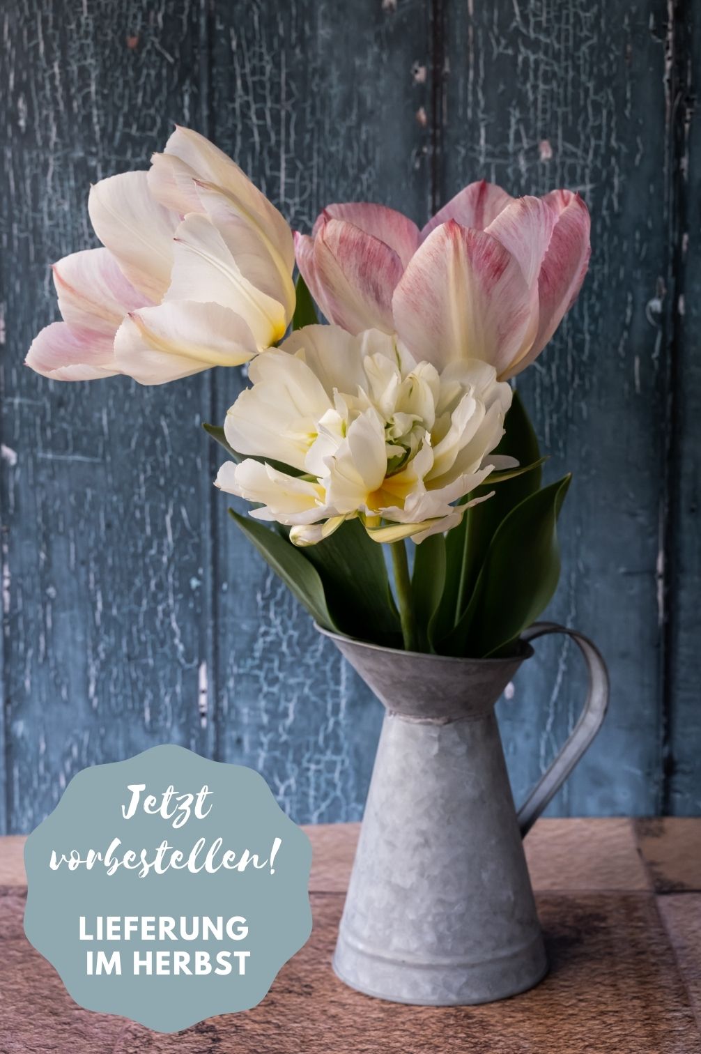 Mehrjährige Tulpenmischung "Strawberries & Cream" - 20 Zwiebeln