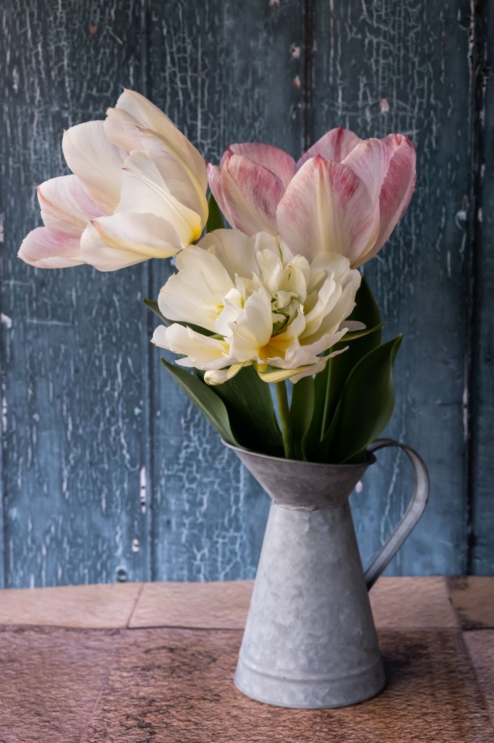 Mehrjährige Tulpenmischung "Strawberries & Cream" - 20 Zwiebeln