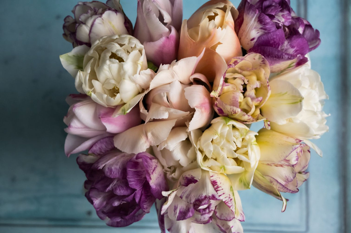 Tulpen & Narzissen Vintage Love
