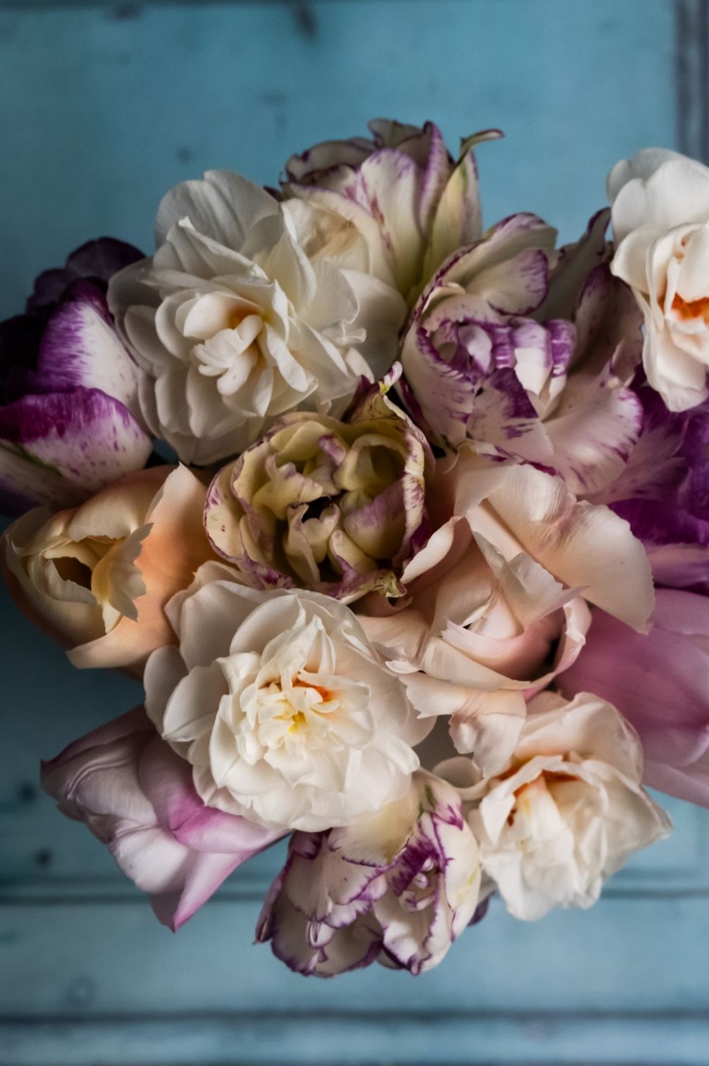 Tulpen & Narzissen Vintage Love