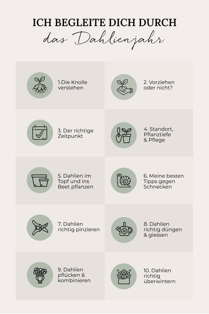 Dahlien-Masterclass: Gemeinsam durch die Saison!
