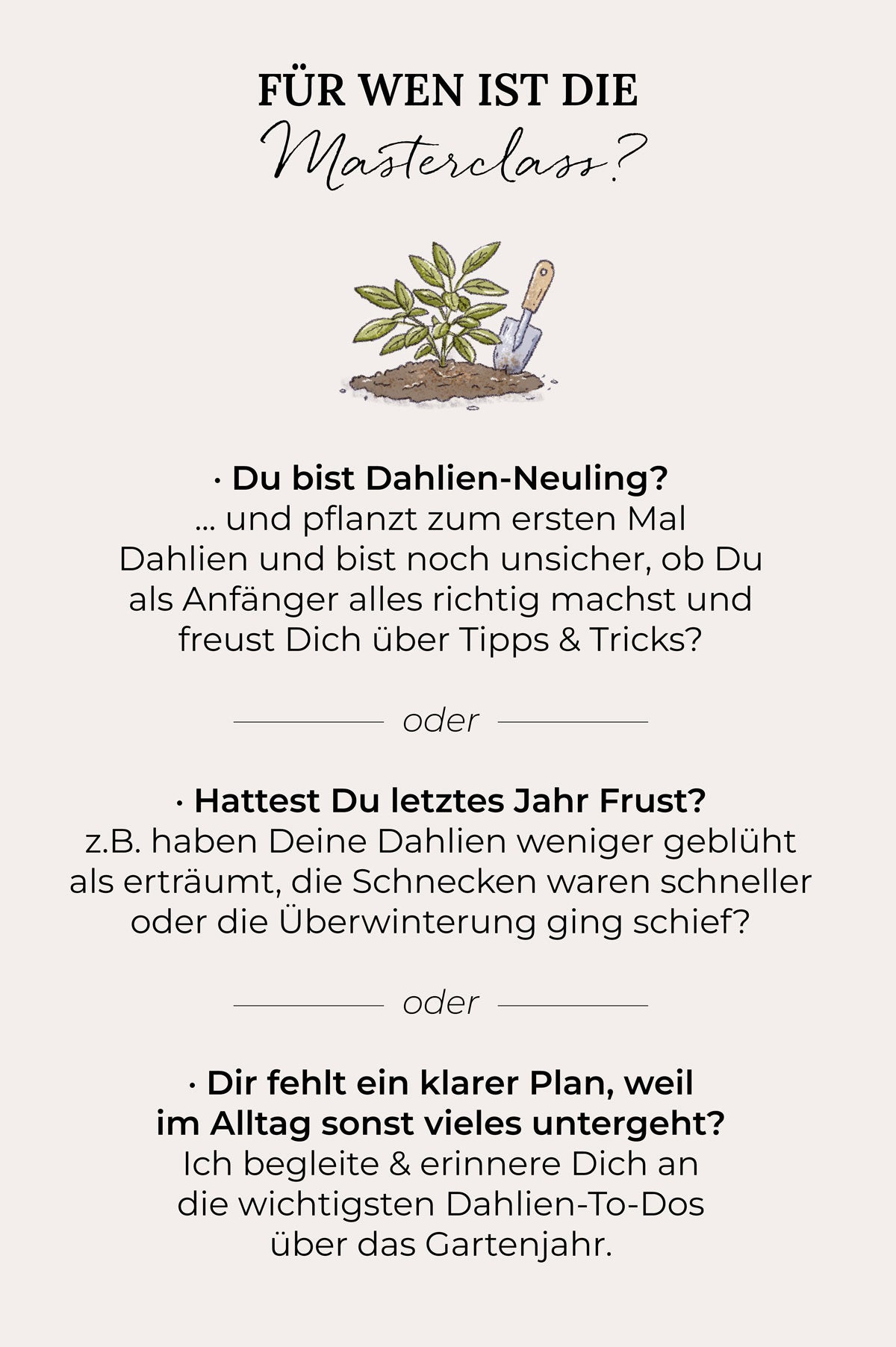 Dahlien-Masterclass: Gemeinsam durch die Saison!
