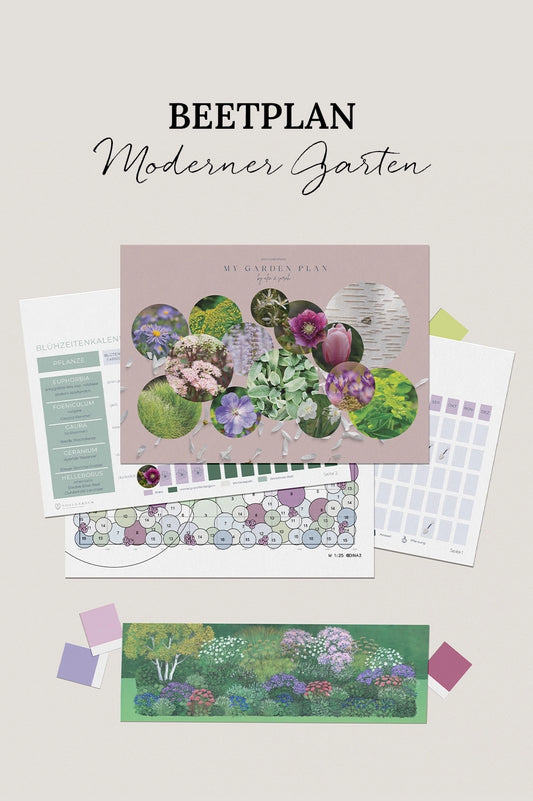 Moderner Garten – Sonne