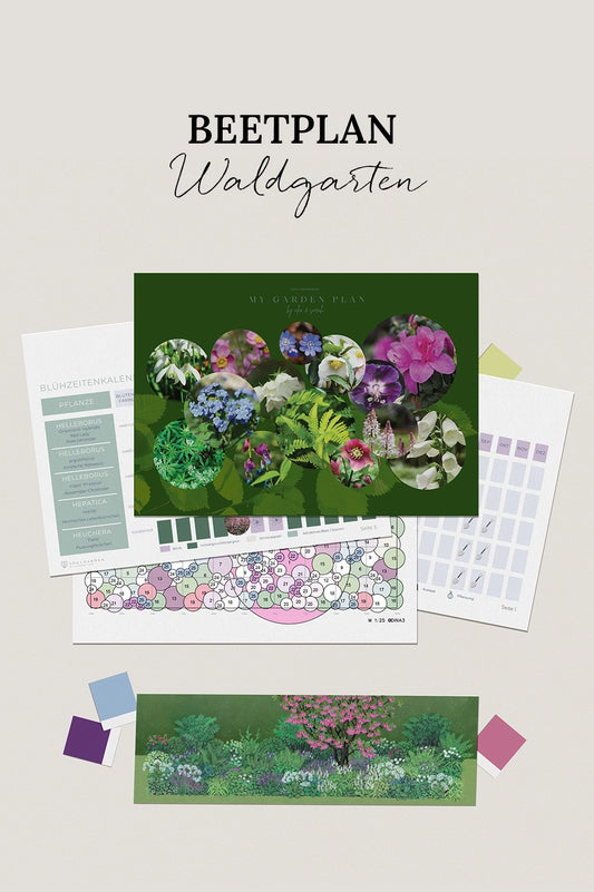 Waldgarten – Lichter Schatten