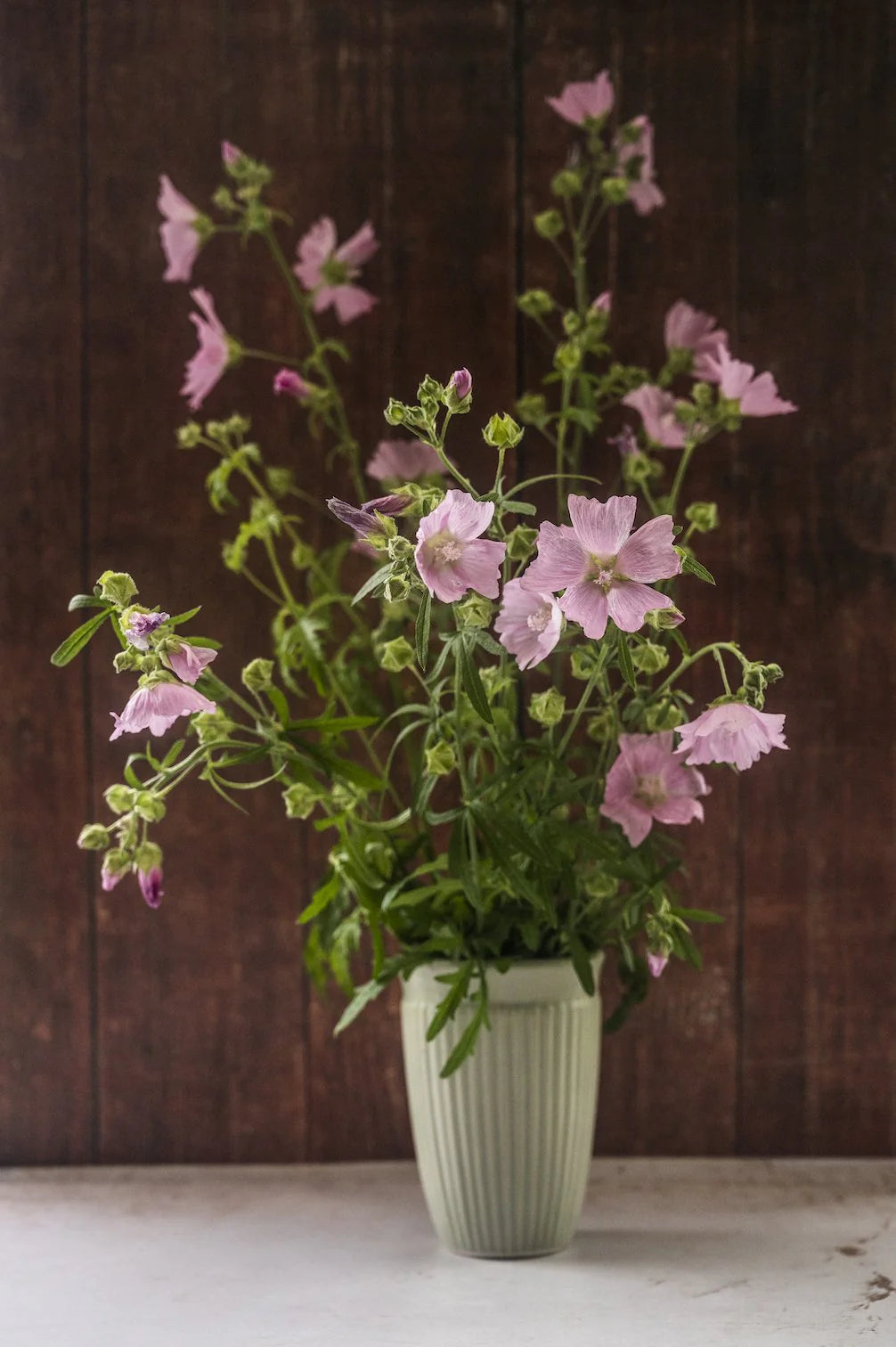 Heimische Wildblumen – 9 Packungen