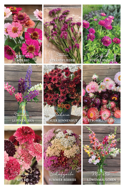 Schnittblumen leuchtend – 9 Packungen