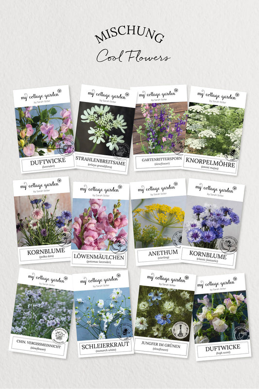 Cool Flowers Mischung - 12 Packungen