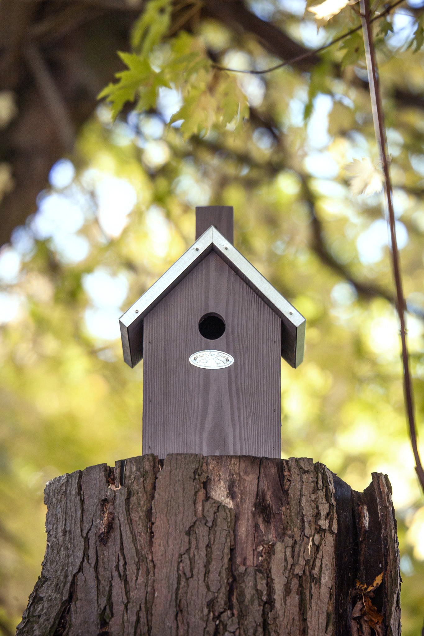 Nistkasten – Taupe
