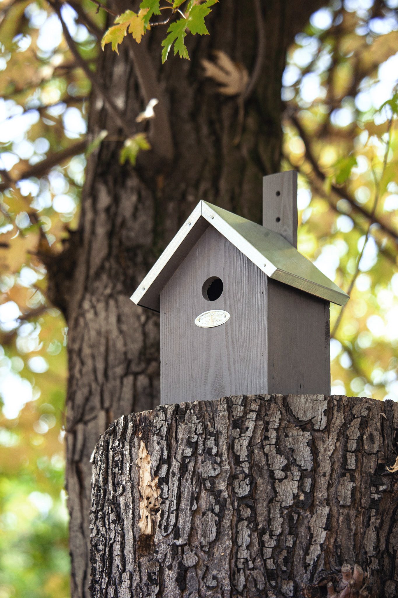 Nistkasten – Taupe