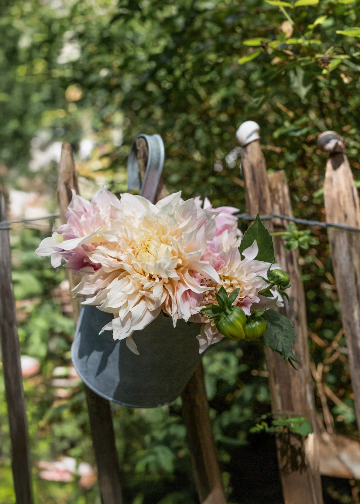 Altzink Blumentopf mit Haken