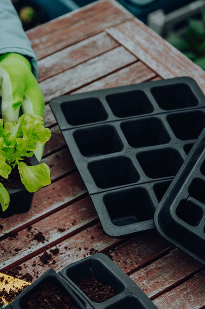 Anzuchtschale aus Naturkautschuk mit jungen Setzlingen.