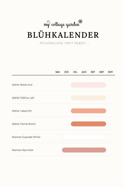 Pflückglück "Soft Peach"