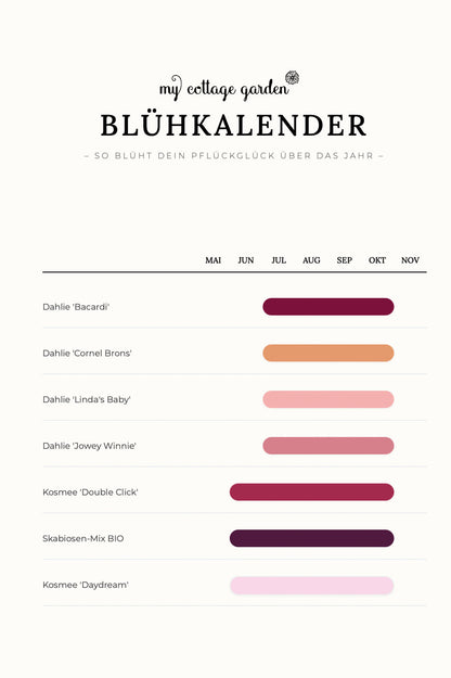 Pflückglück "Sunrise"