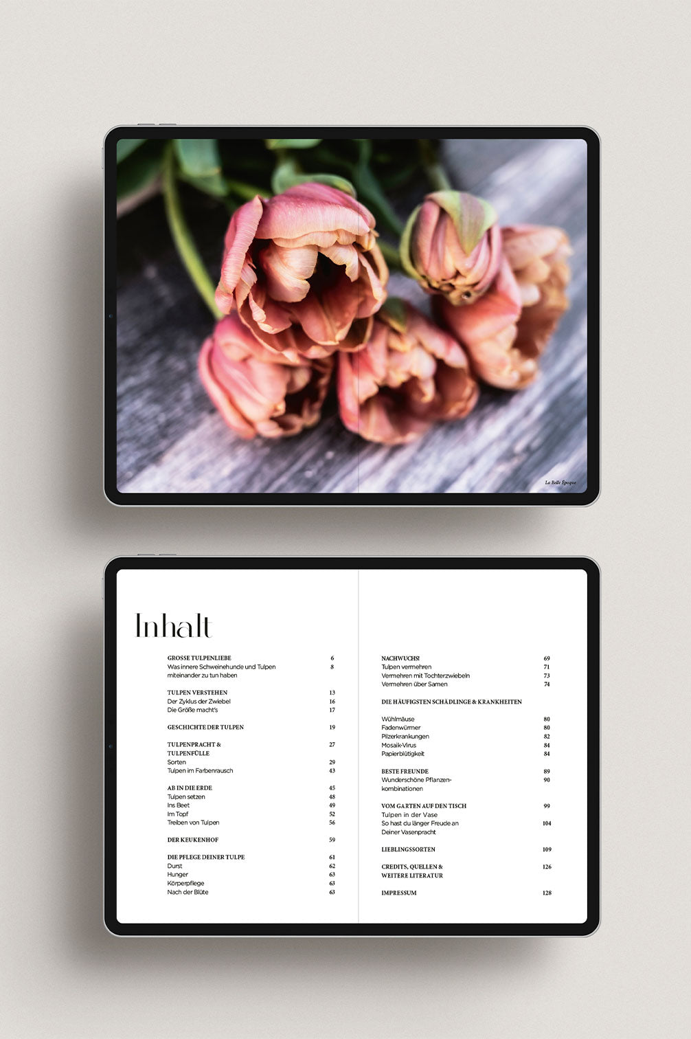Tulpenglück – Ebook