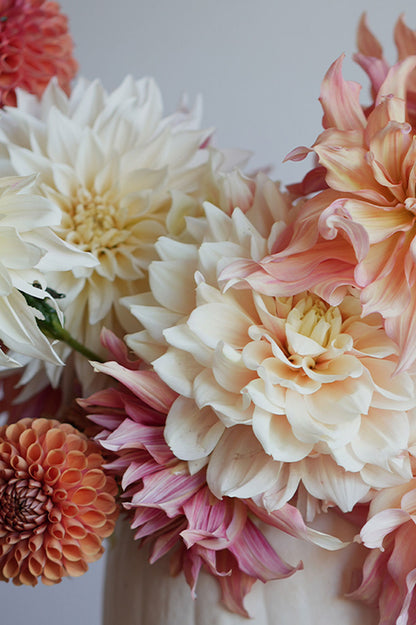 Pflückglück "Soft Peach"