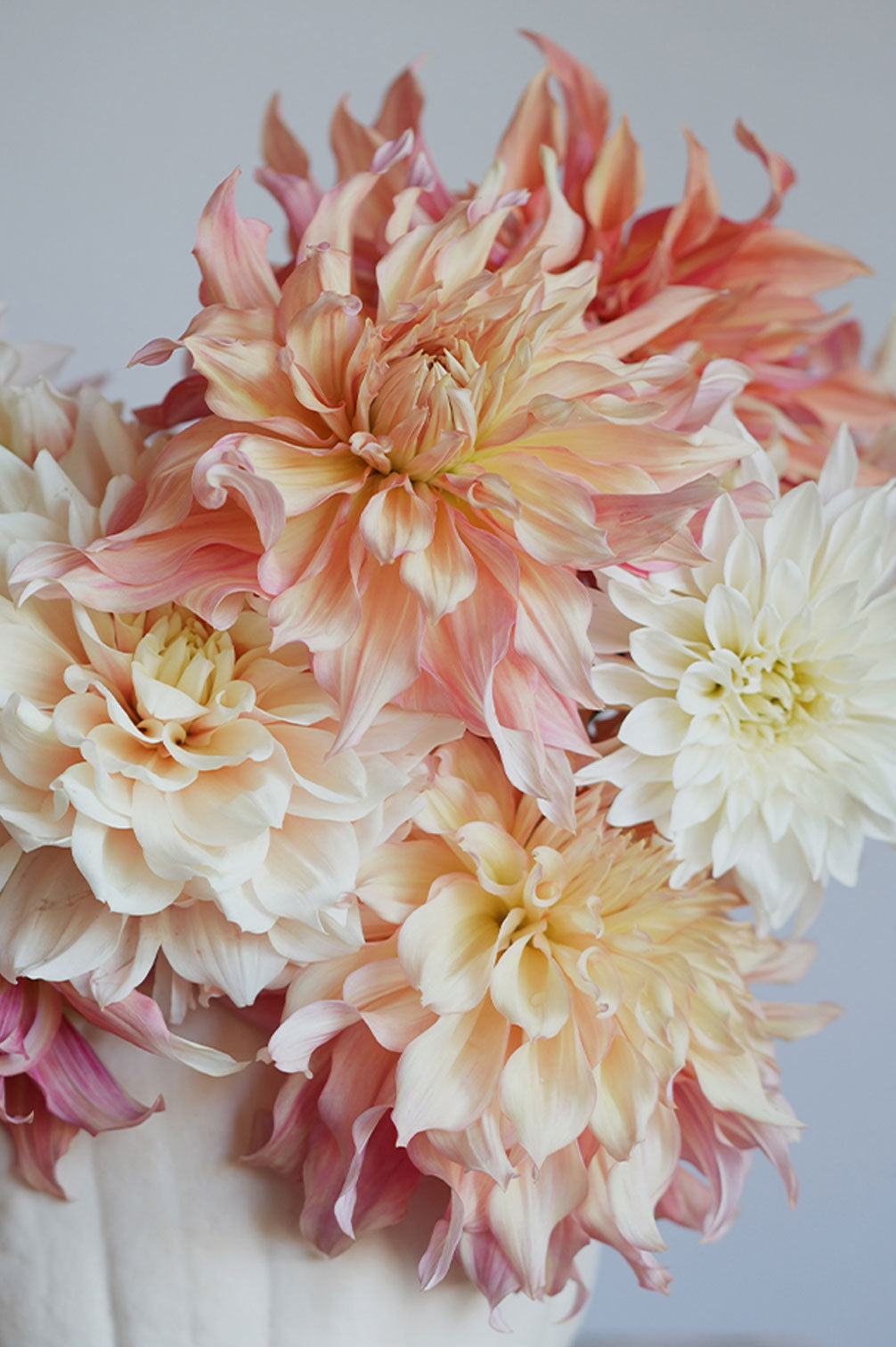 Pflückglück "Soft Peach"