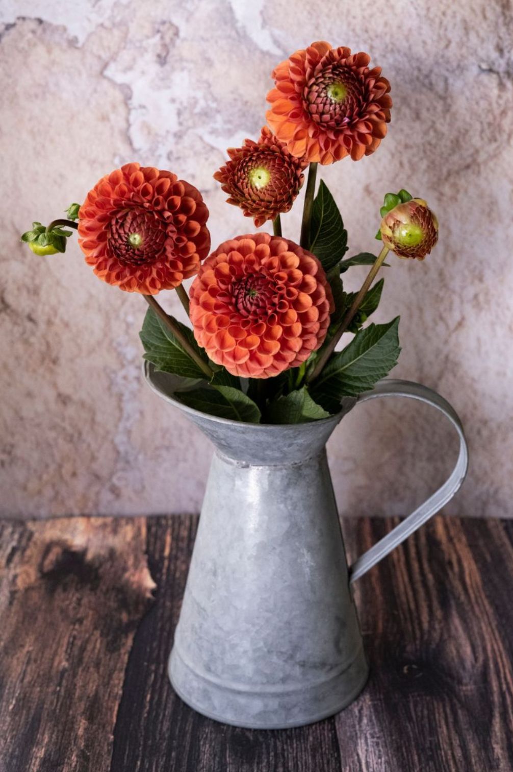 Dahlie „Cornel Brons“ in warmem Bronze-Apricot als Schnittblumenstrauß in einer Zinkkanne.