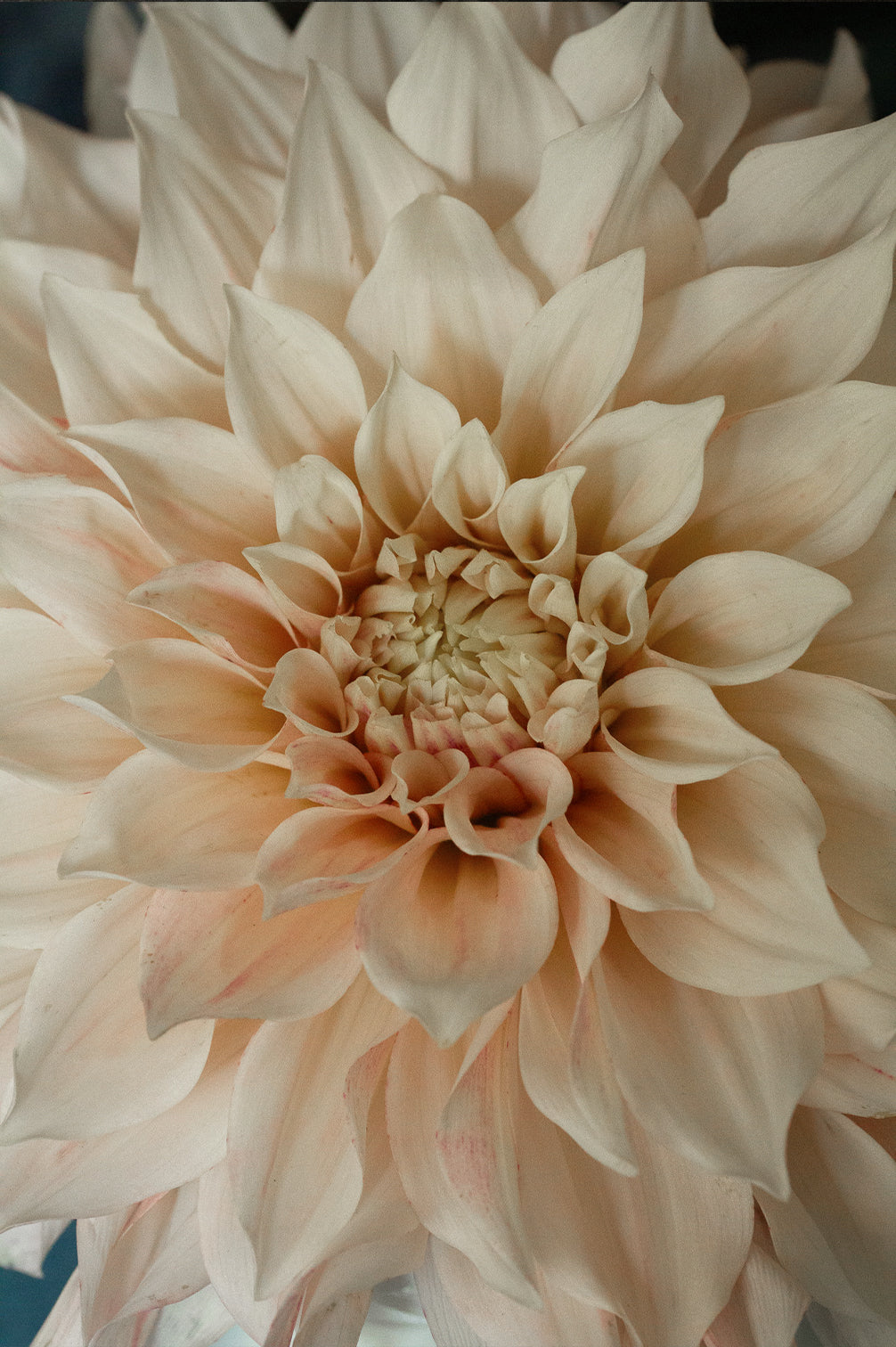 Pflückglück "Pastell"