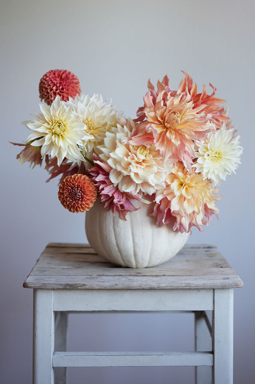 Pflückglück "Soft Peach"