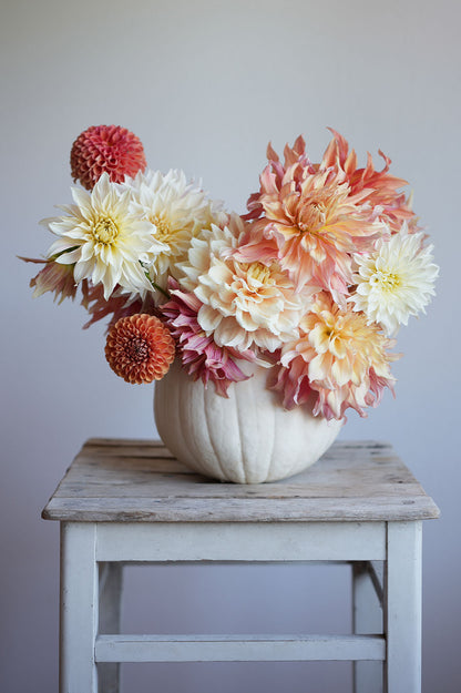 Pflückglück "Soft Peach"