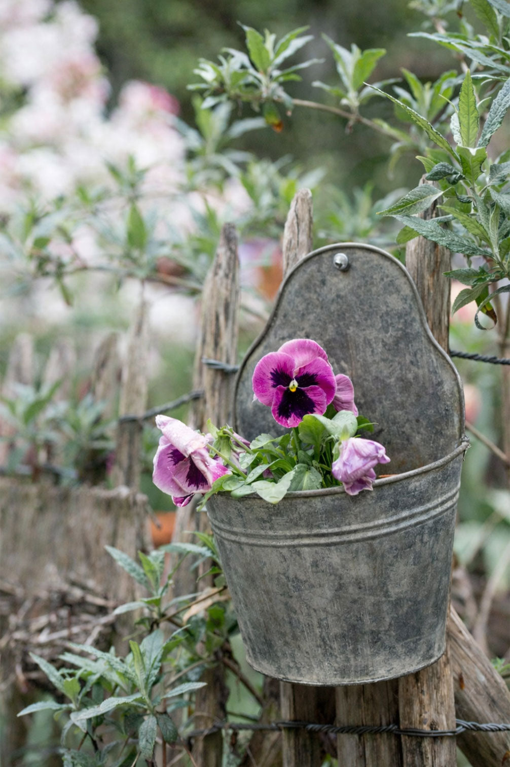 Wandtöpfe aus Metall (2er Set)