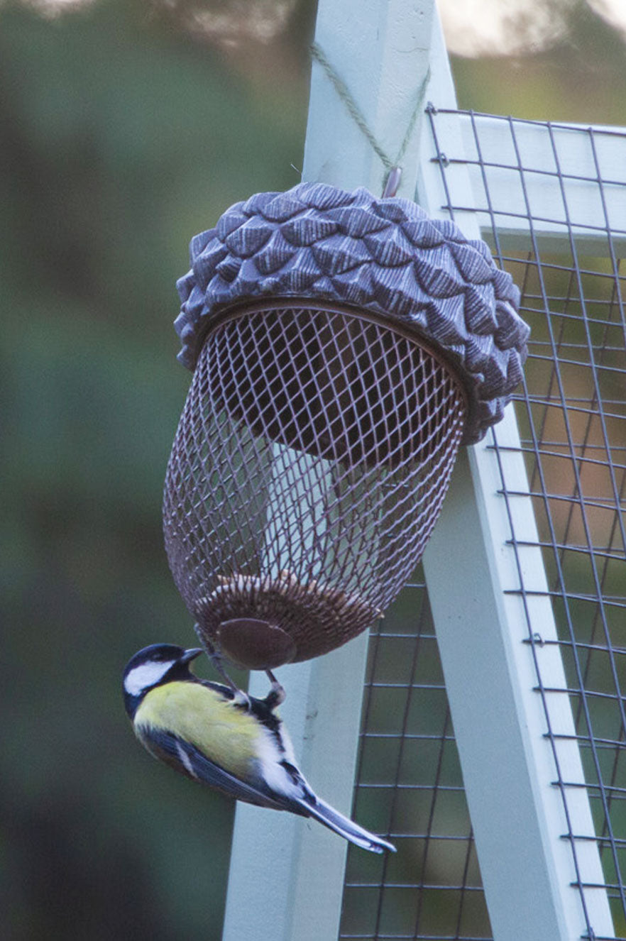 Futterstelle in der Eichel
