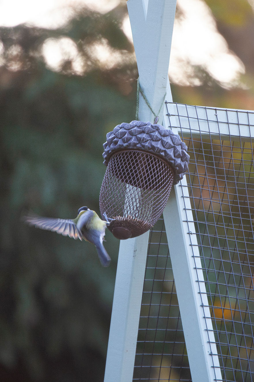 Futterstelle in der Eichel