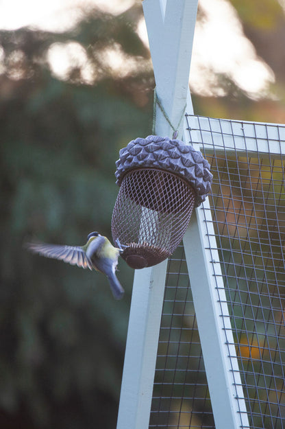 Futterstelle in der Eichel
