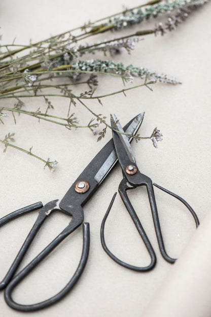 Zwei schwarze Metall-Gartenscheren in unterschiedlichen Groessen nebeneinander liegend.