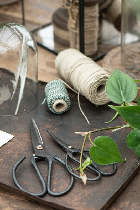 Zwei schwarze Metall-Gartenscheren im Vintage-Design auf Tisch mit Pflanzen und Gartenzubehör.