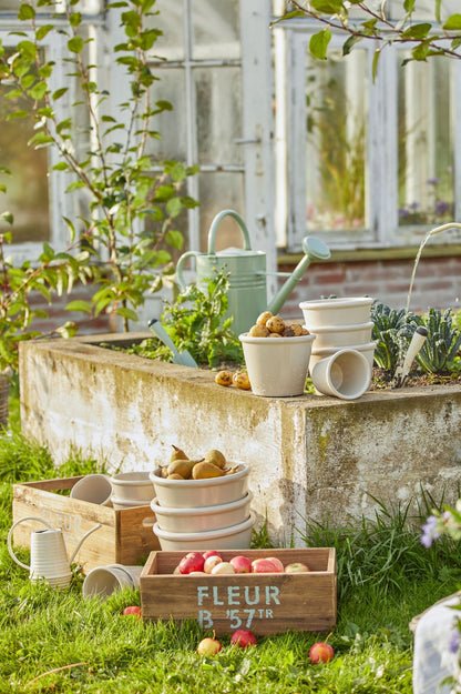 Pastellgrüne Giesskanne aus Metall in einem Hochbeet vor Gewächshaus, umgeben von Blumentöpfen und Apfelkiste.