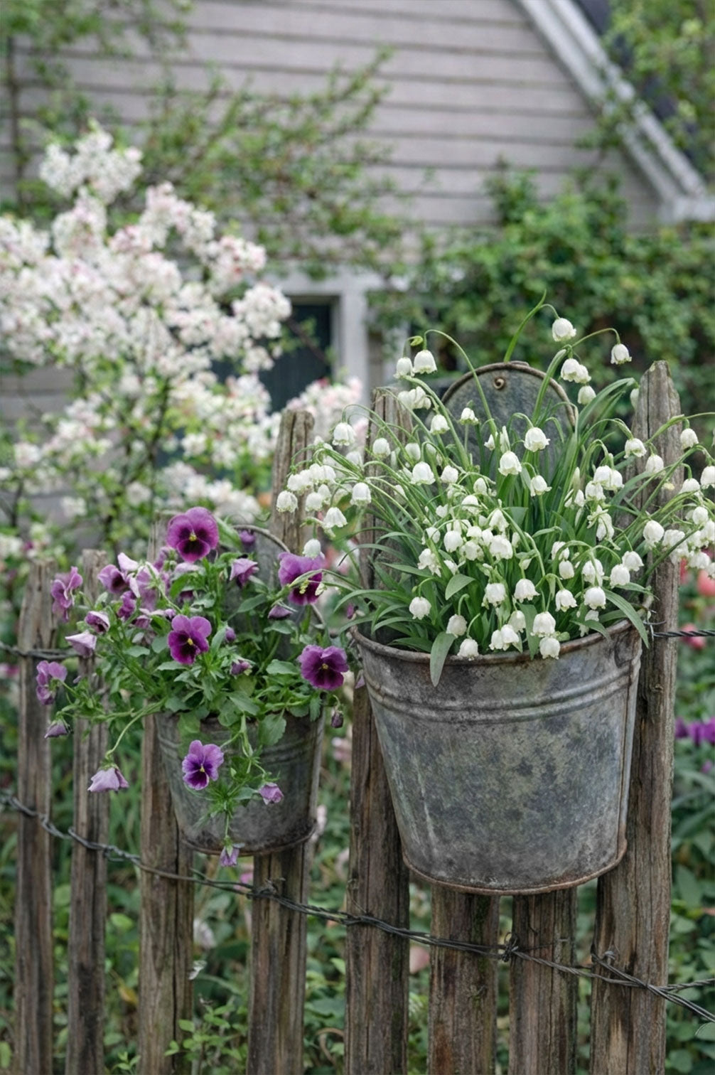 Wandtöpfe aus Metall (2er Set) – My Cottage Garden