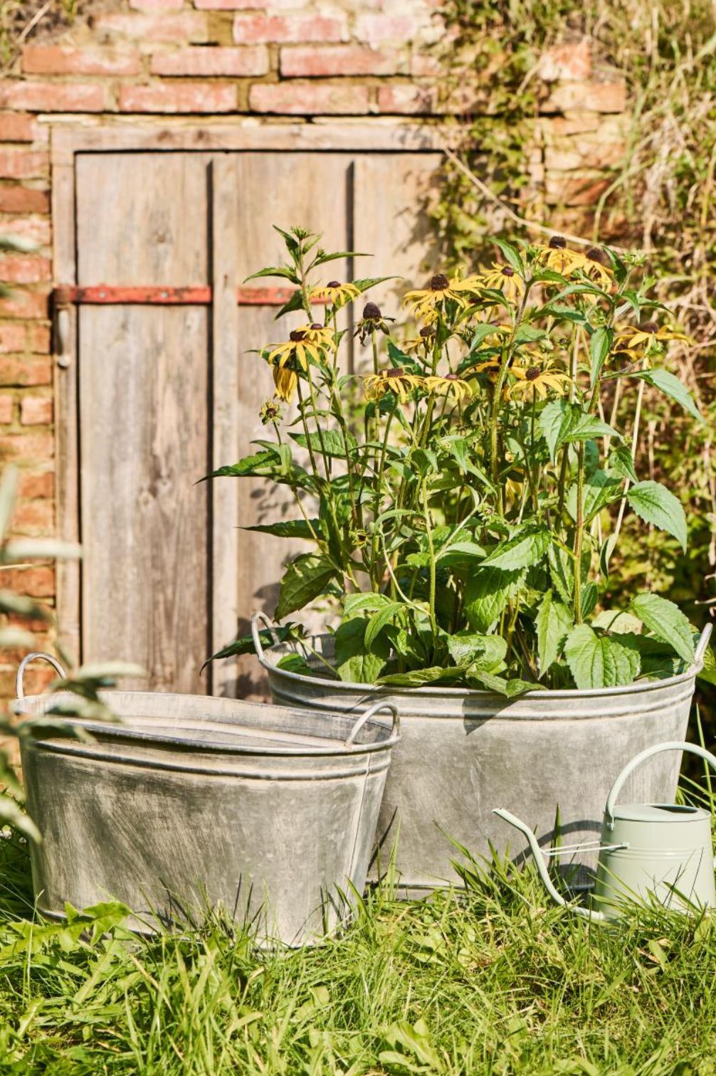 Verzinkte Metall-Pflanzwanne im Garten.
