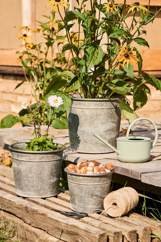 Hohe Pflanztöpfe aus verzinktem Metall im 3er-Set mit lebendiger Zinkstruktur auf Holzterasse.