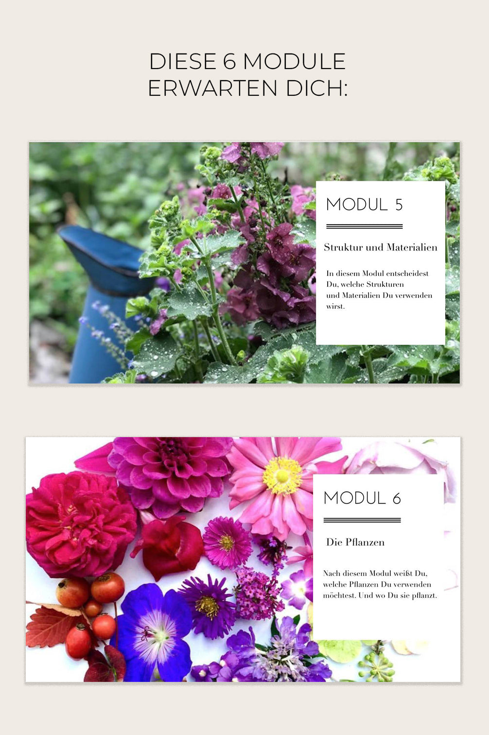 ONLINEKURS: DEIN WEG ZUM GARTENGLÜCK