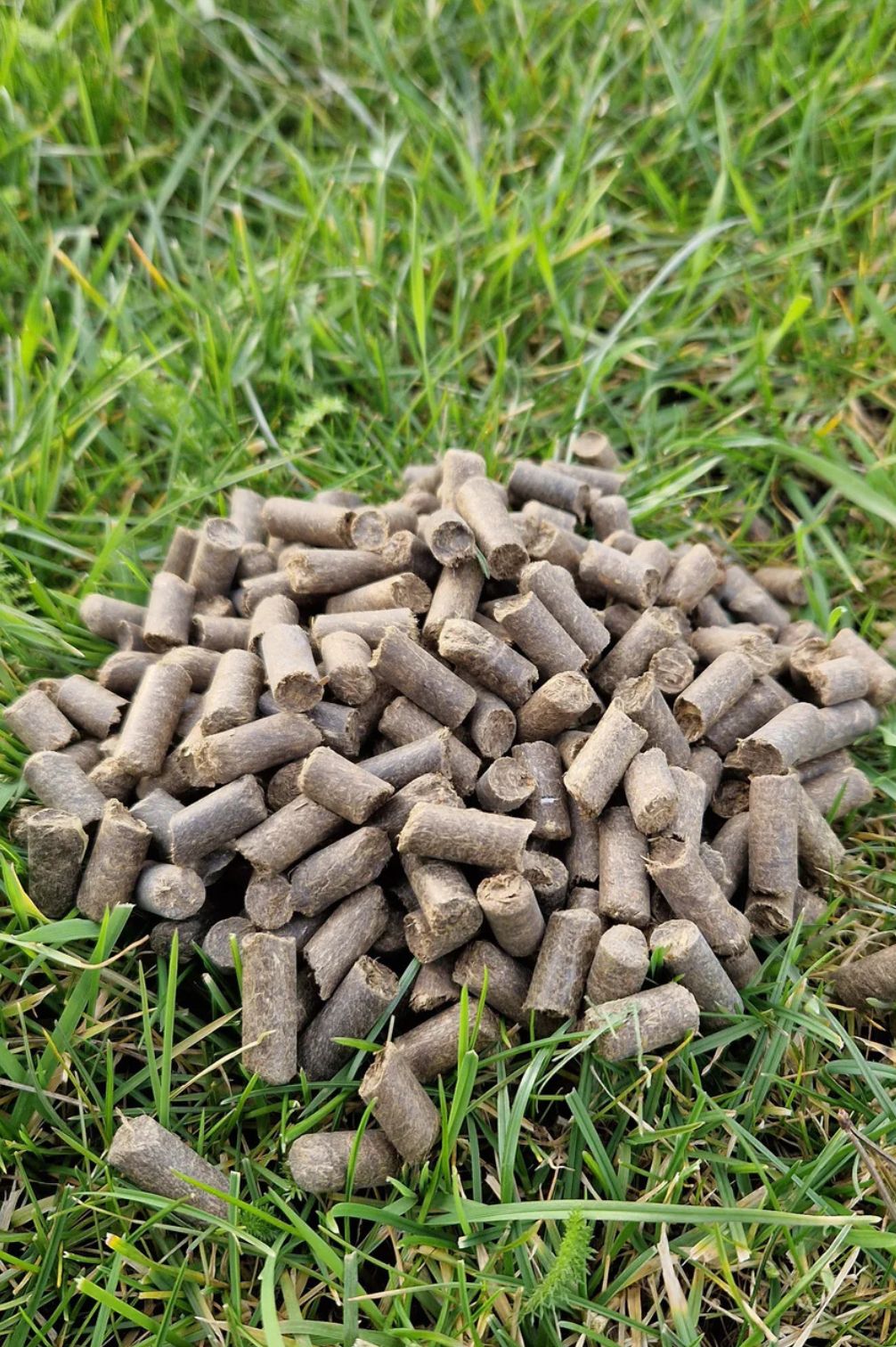 Pferdeäppel Pellets als natürlicher Dünger für Garten und Hochbeet.