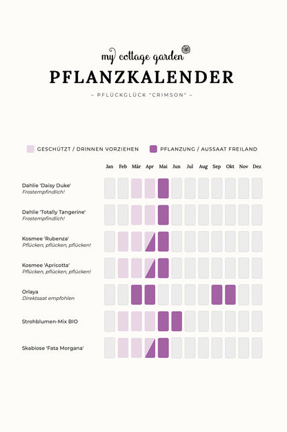 Pflückglück "Crimson"